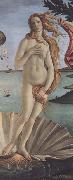 Sandro Botticelli The Birth of Venus oil on canvas